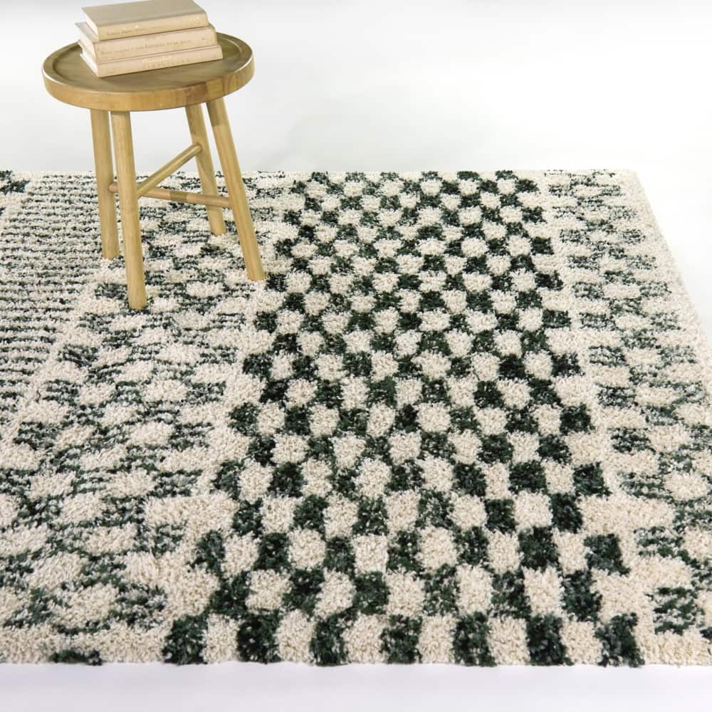 Mendieta Checkered Shag Area Rug