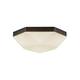 Option Matte Black / Opal Glass