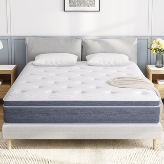 Zinus Mattress Sams Foam Mattress Hybrid Mattress Twin Box Spring