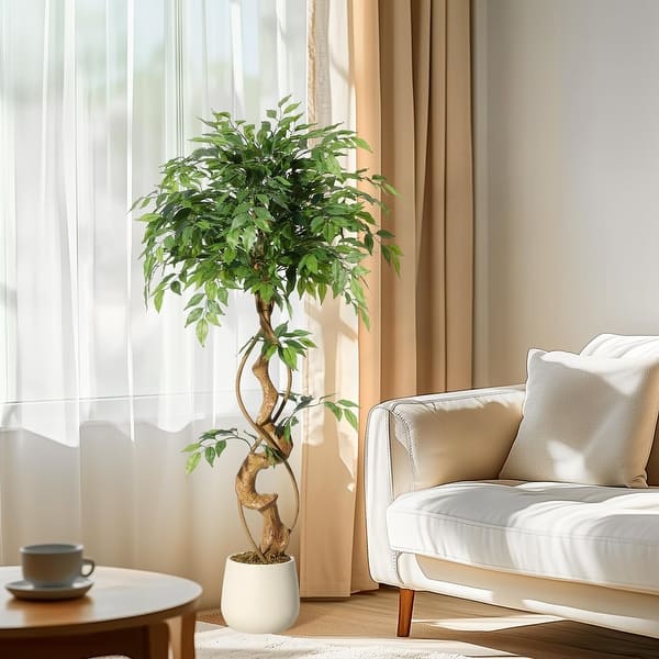 moss plant poles Stackable Moss pole for climbing plants. Clear plant trellis, white plant  pole, black plant support