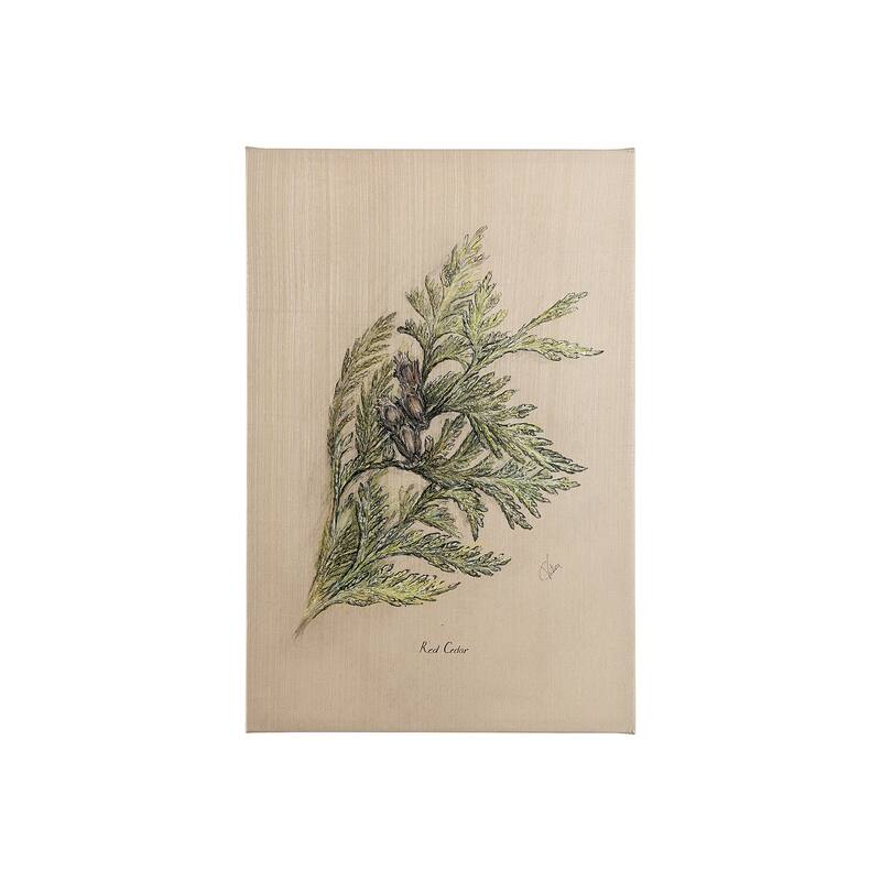 Evergreen collection III (20 x 30) Canvas Art Print - Small