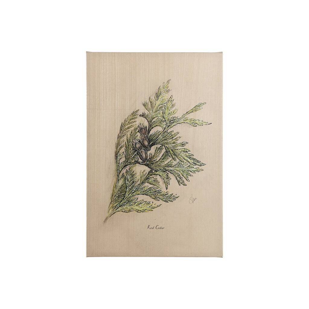 Evergreen collection III (20 x 30) Canvas Art Print