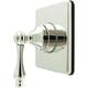 Option Polished Nickel