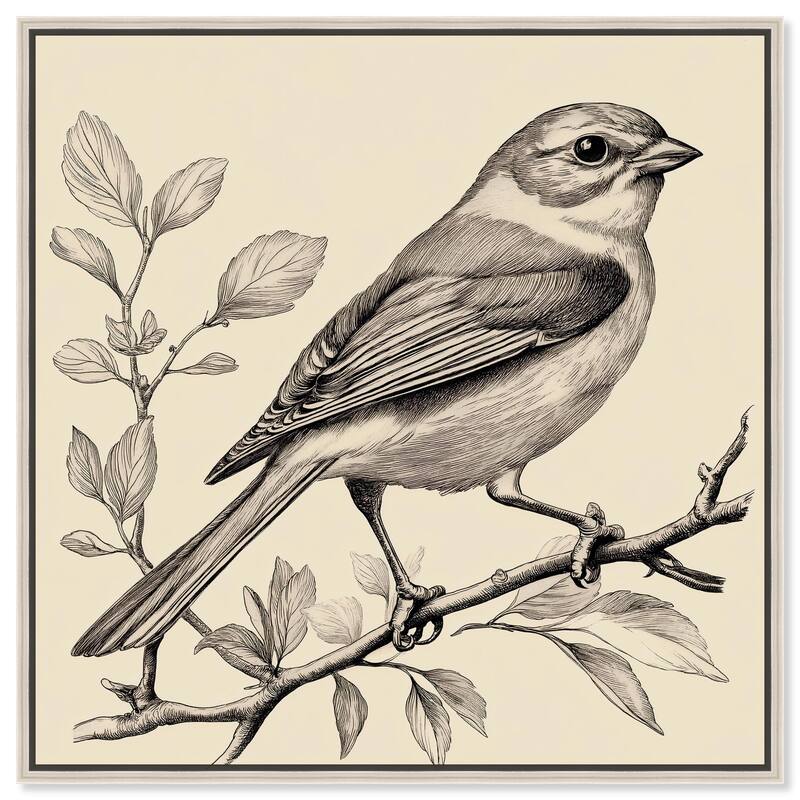 Bird's Gaze Canvas by Art Remedy - Silver - 16" x 16"