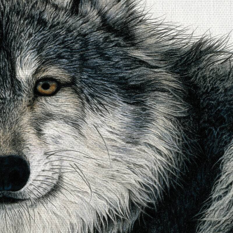 Silent Watch by Jan Henderson Canvas Art Print