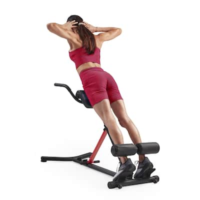 Sunny Health Fitness Roman Chair with Dip Station