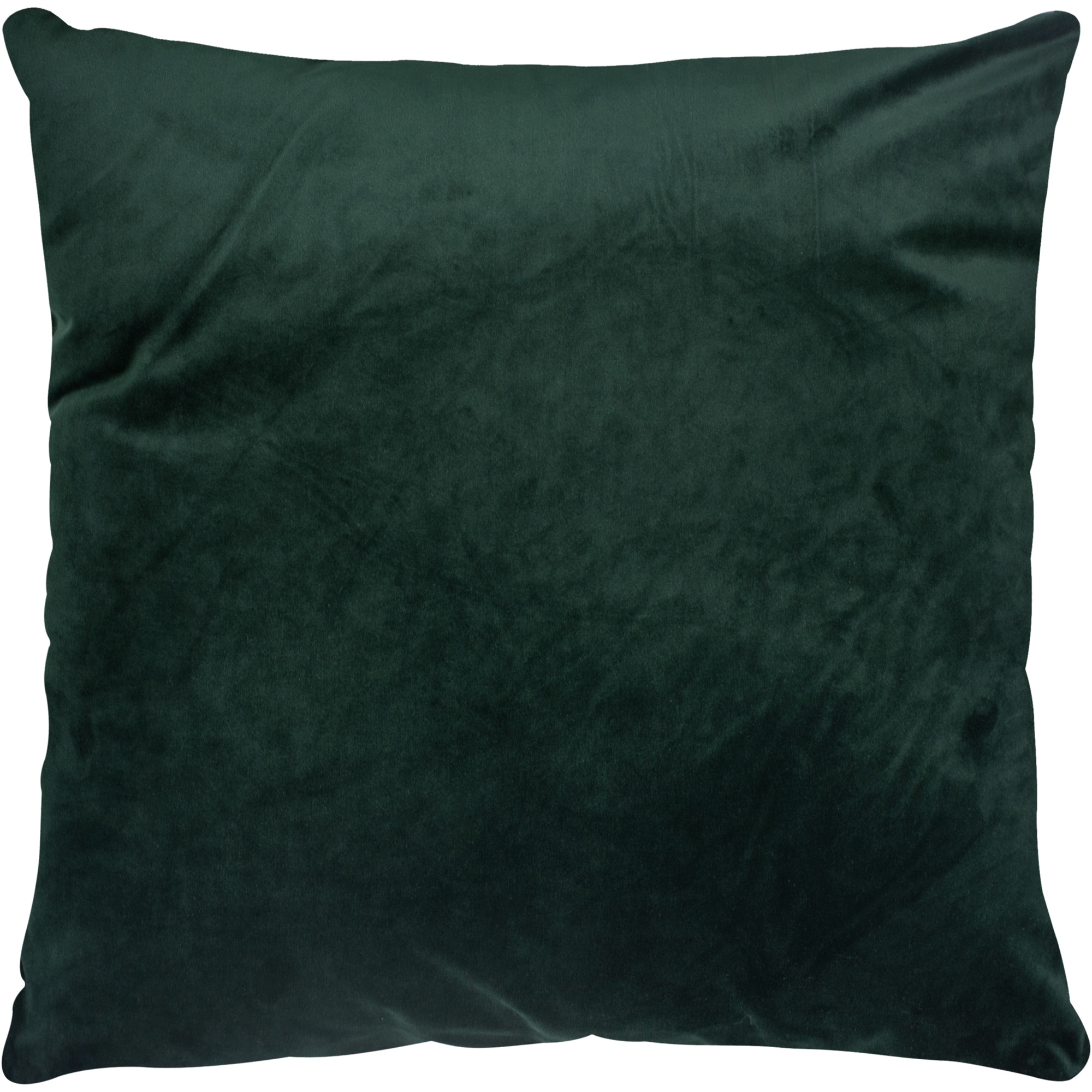 Renwil Olive 20 X 20 Indoor Pillow, Hunter Green