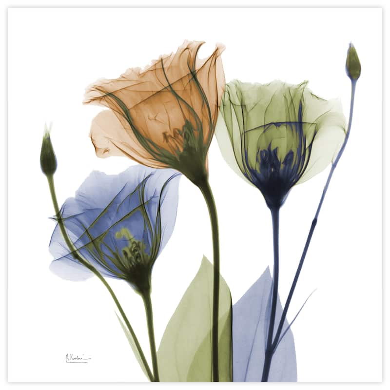 "Gentian Buddies" Frameless Free Floating Tempered Glass Panel Graphic Wall Art