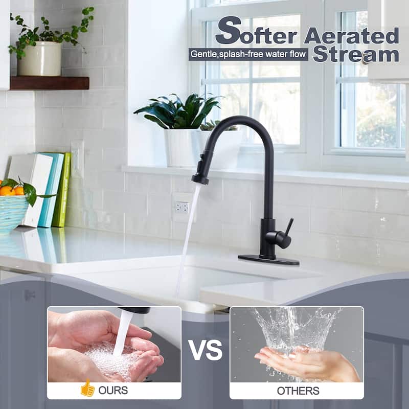 WOWOW Single Handle Pull Down Sprayer Kitchen Faucet