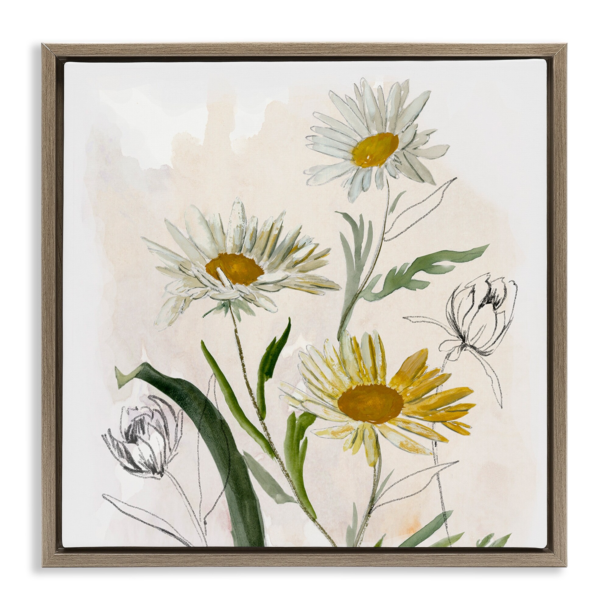 Stupell Pure Simplicity Daisies Framed Floater Canvas Wall Art Design By Jacob Q