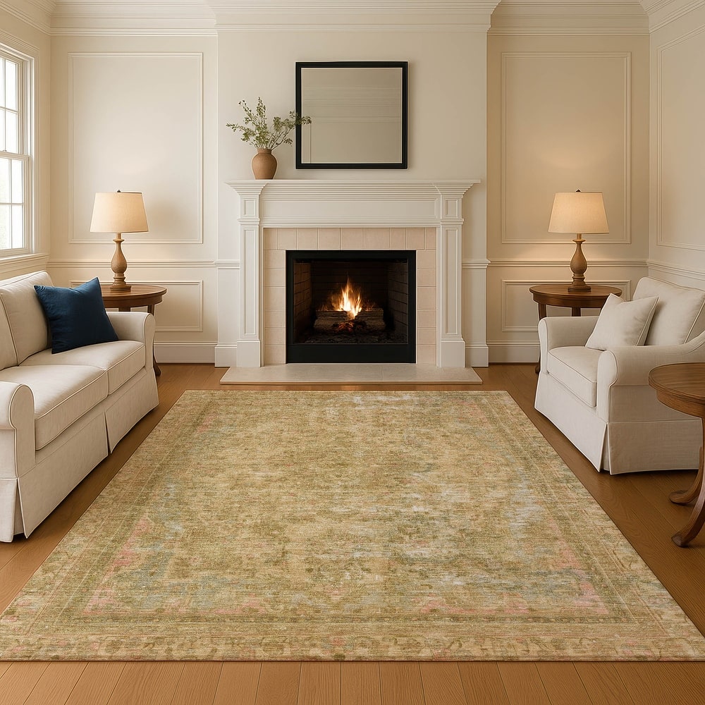 Premium Washable Super Soft Vintage Traditional Mayfield Rug