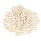 Option Gold