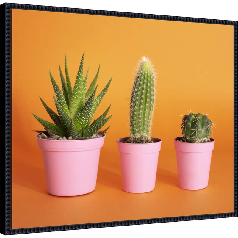 Cactus Trio 2 by Julia Ramiro Framed Canvas Wall Art Print - Sylvie Beaded Black