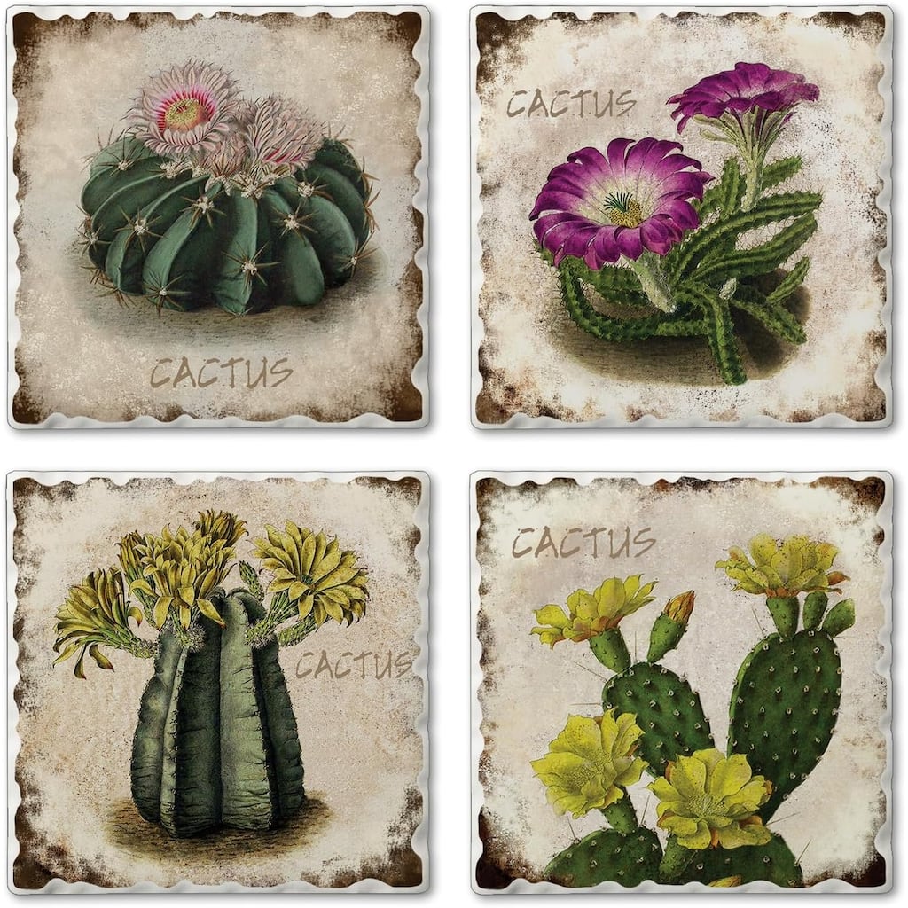 Cactus Flowers 4 Pack Multi-Image Stone Coasters Cork Backing Made in The USA Square Artistic Absorbent Easily Wipes Clean