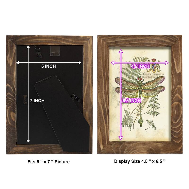Regal Dragonfly III (PP) -Framed Print w/glass-Cherry Red