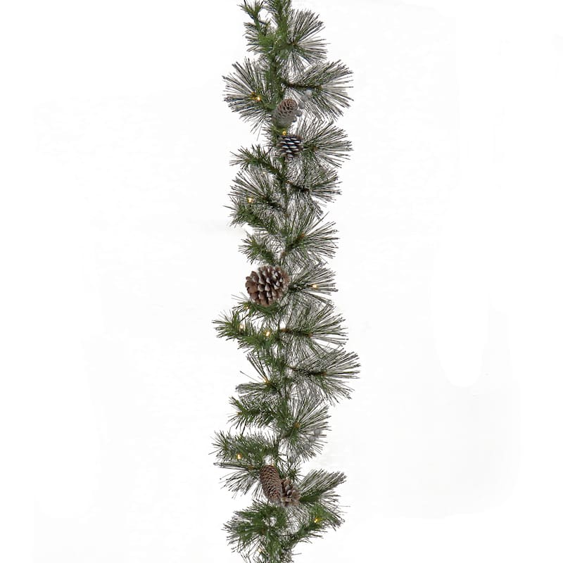 National Tree Company 9 ft. Whitter Pine Garland with LED Lights - 9 ft