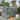 GDFStudio - Amelia Large Walk-In Outdoor Greenhouse with Secure Structure and Ventilation Design