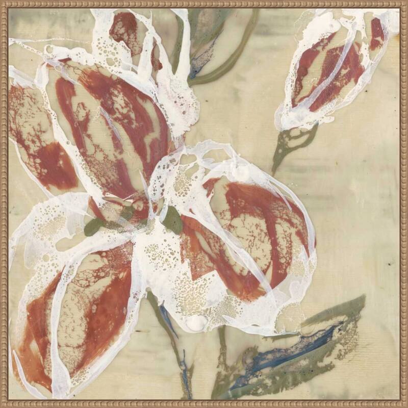 Vintage Botanical Lilys Breath No. 2 Illustration by Jennifer Goldberger Framed Canvas Wall Art Print