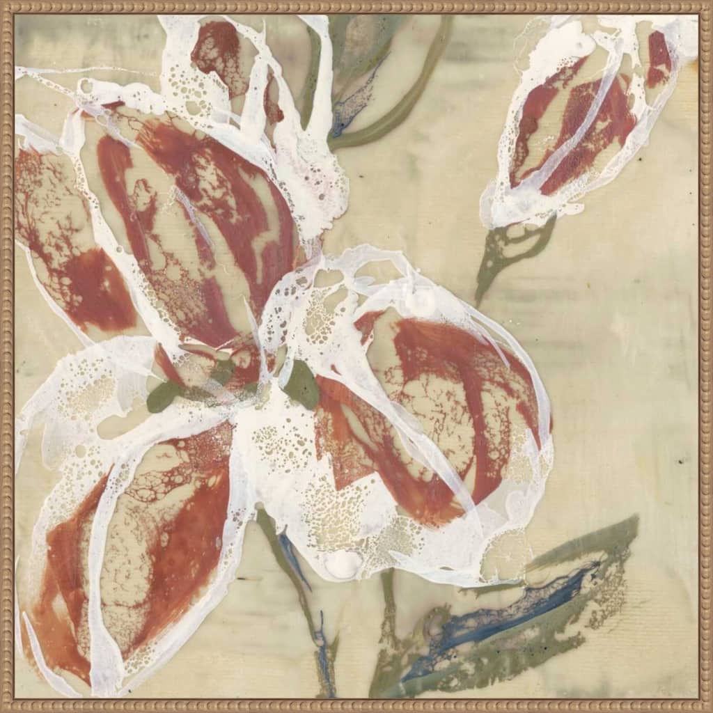 Vintage Botanical Lilys Breath No. 2 Illustration by Jennifer Goldberger Framed Canvas Wall Art Print