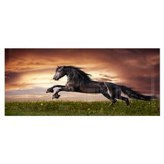 Designart 'Black Friesian Horse Gallop' Animal Photography Metal Wall Art