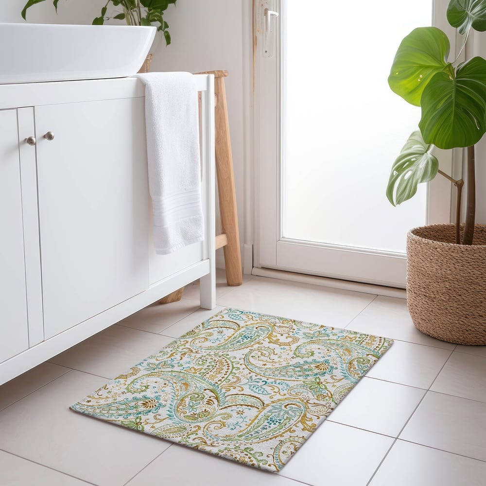 Machine Washable Indoor/ Outdoor Paisley Chantille Rug