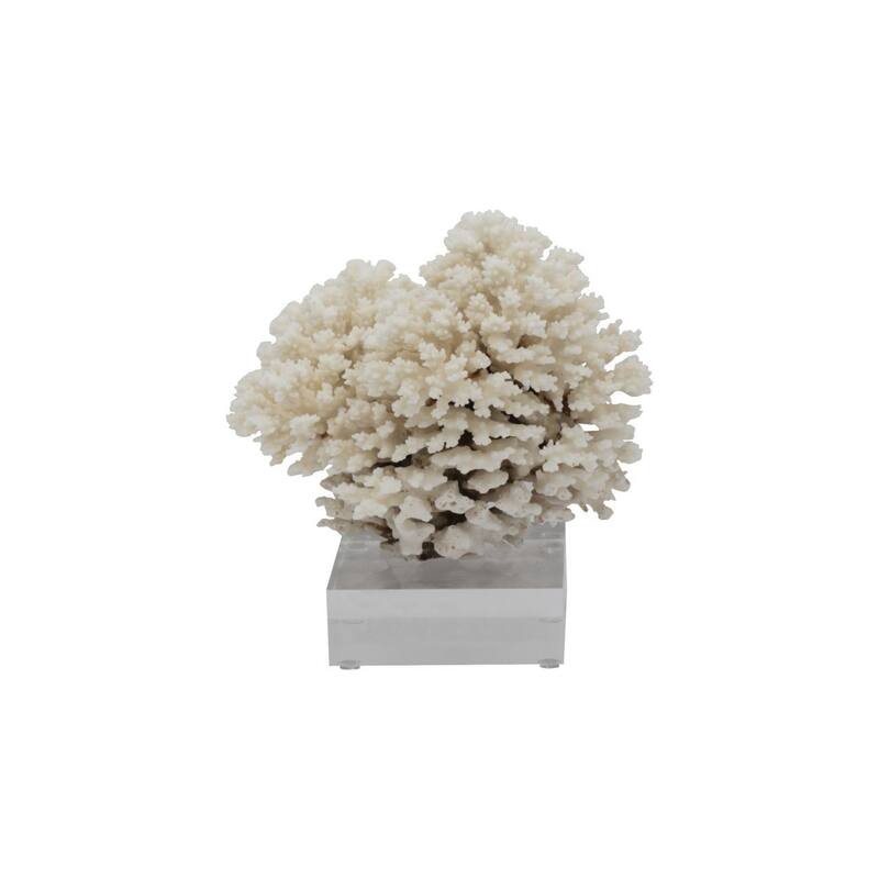 Cluster Coral 10-12 Inch On Acrylic Base