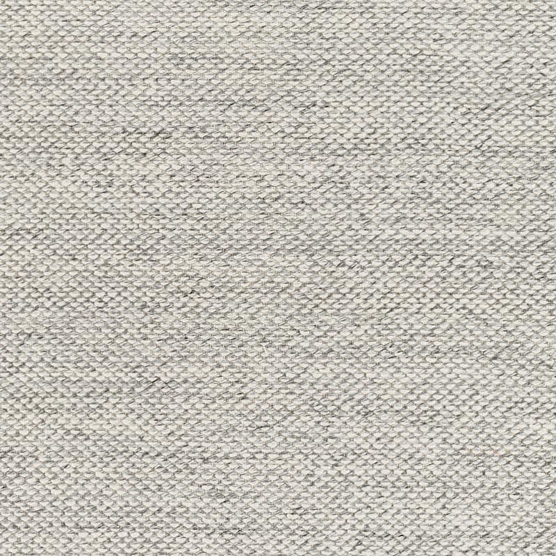 Surya Liam Outdoor Safe Modern Solid Fringe Area Rug