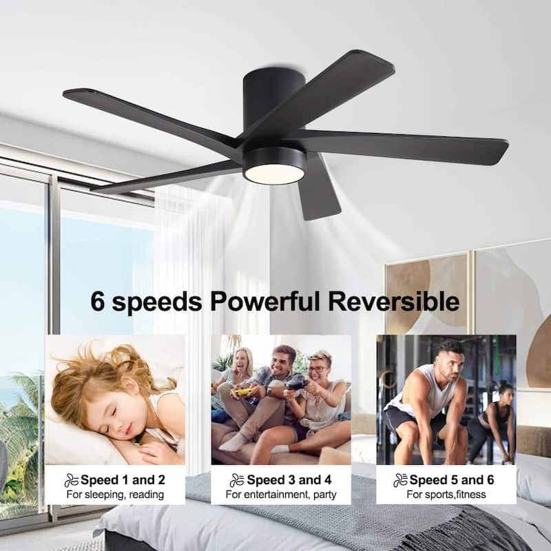 MLiAN 54" Solid Blades Indoor Flush Mount Ceiling Fan with Light Kit and Remote