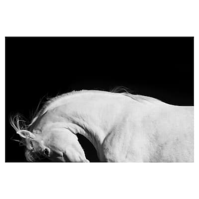 White Beauty by Belle Maison Canvas Art Print