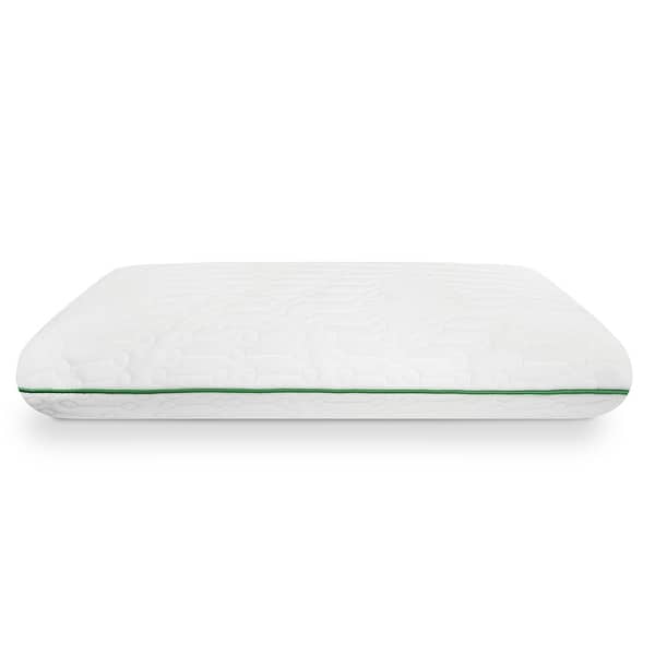 Fresh and Clean Memory Foam Bed Pillow with Antimicrobial UltraFresh