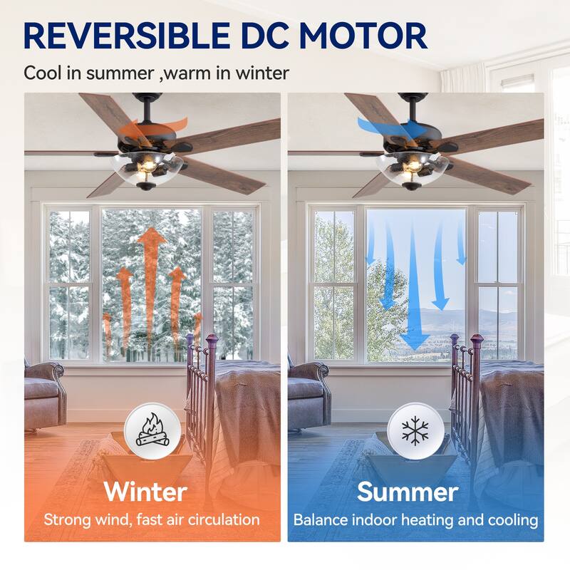 52" Reversible 5-Blade Glass Shade Ceiling Fan with Light and Remote