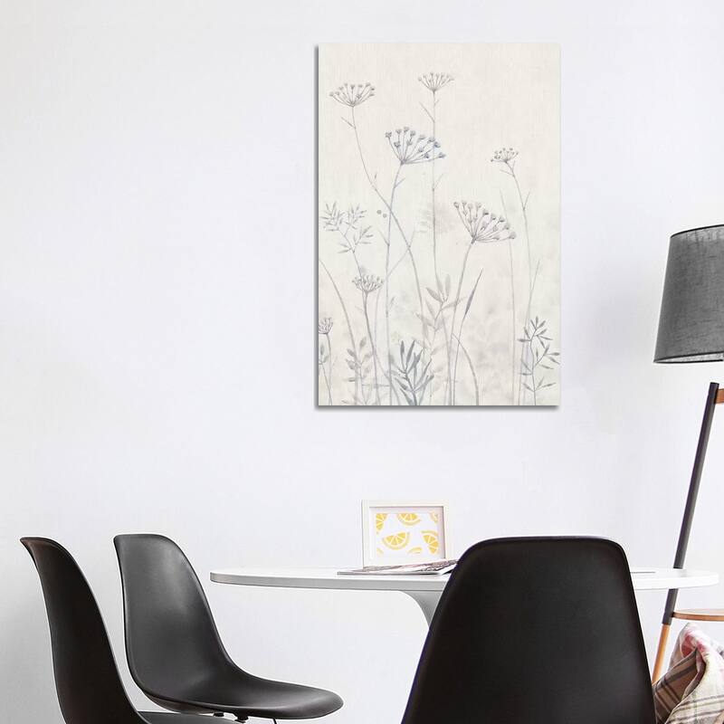 iCanvas "Neutral Queen Anne's Lace I" by Tim OToole Canvas Print - 40x26x1.5
