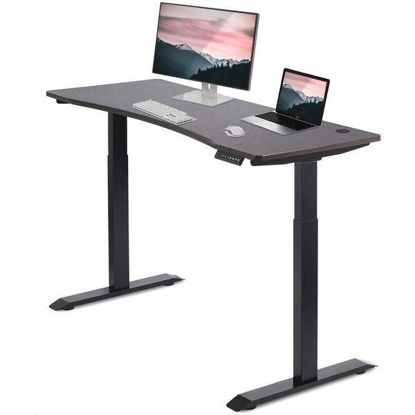 OSINA 60 inch Wide Adjustable Electric Standing Desk with 2 Motors