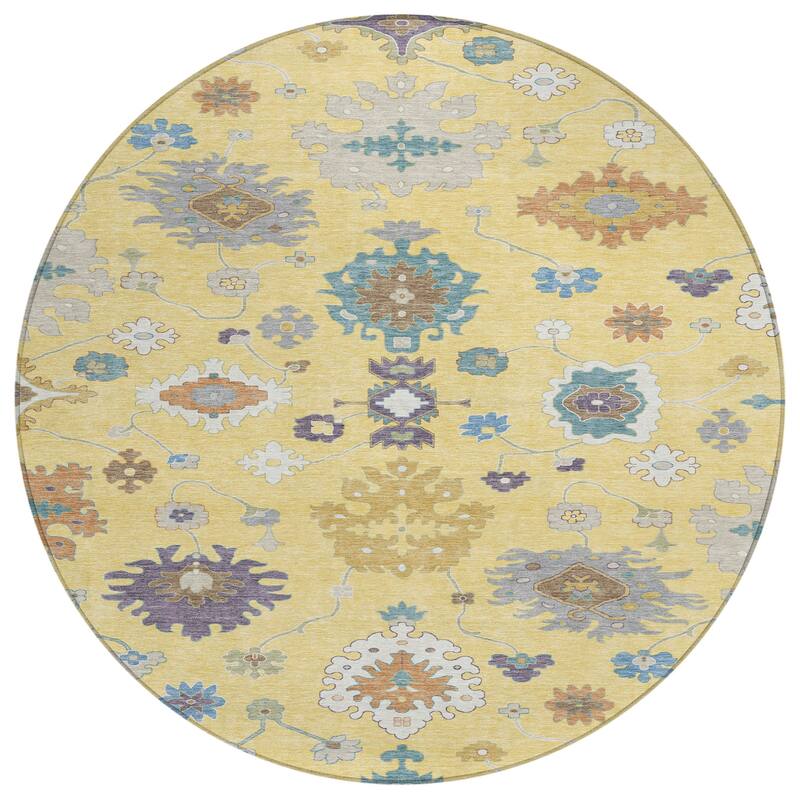 Machine Washable Indoor/ Outdoor Traditonal Delhi Chantille Rug