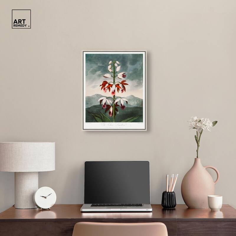The China Limodoron 1807 Canvas by Art Remedy