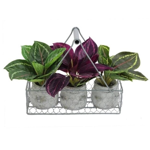 Admired By Nature Gg7657 Green 9 5 In Tall Artificial Desktop Potted Prayer Plants Burgundy Dark Green Green 4 Piece