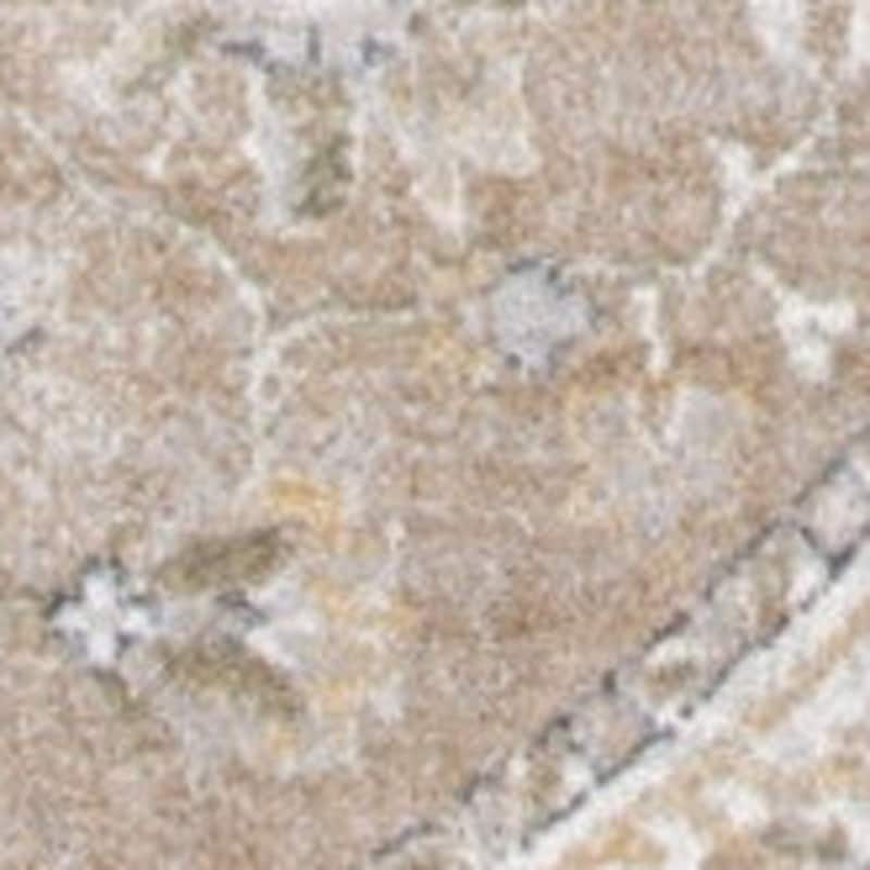 Laway Power Loomed Distressed Geometric Floral Low Pile Area Rug By HomeRoots - 63' X '63' X '0.25