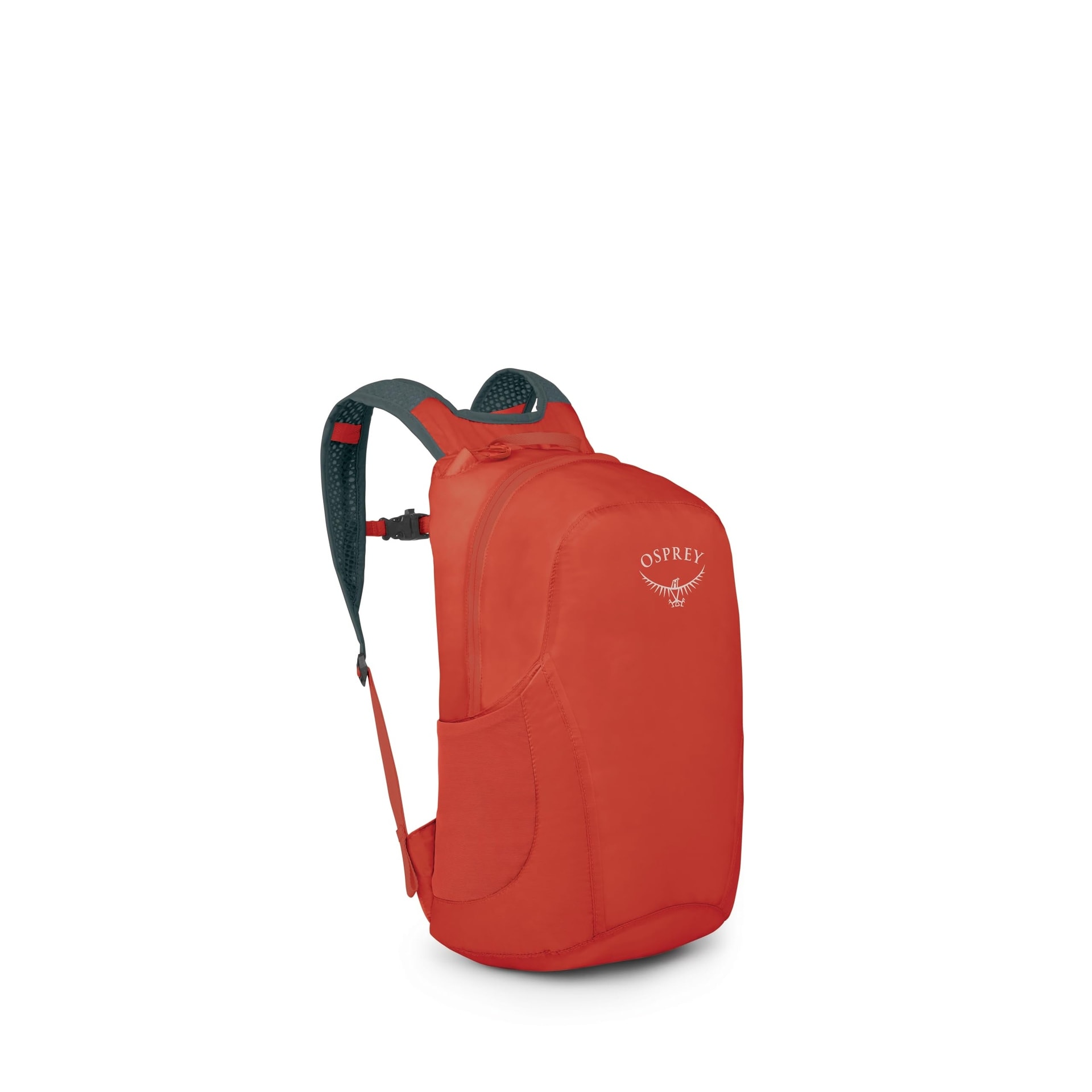 Backpack Large Computer Backpack