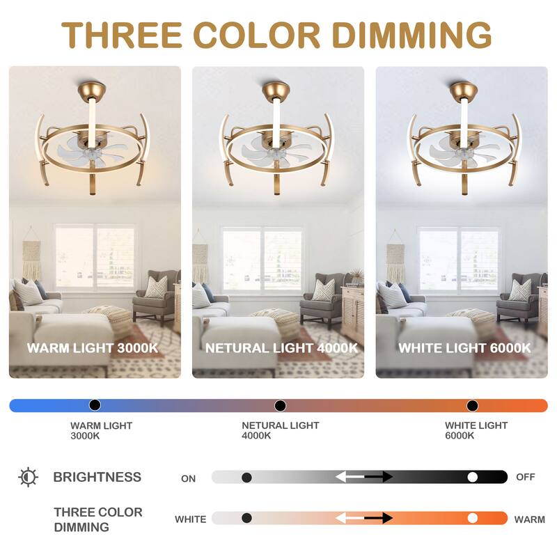 Bella Depot 25" Modern DIY Shape Ceiling Fan with Remote APP Control and Dimmable Light Kit, 6-Speed Reversible Blades