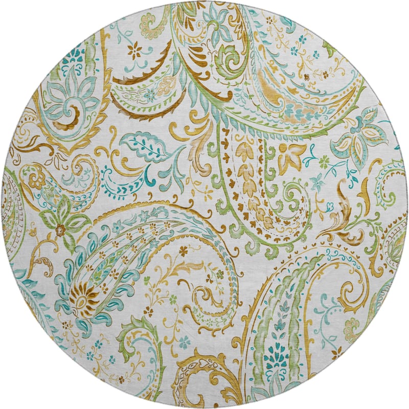 Premium Washable Super Soft Traditional Paisley Mayfield Rug