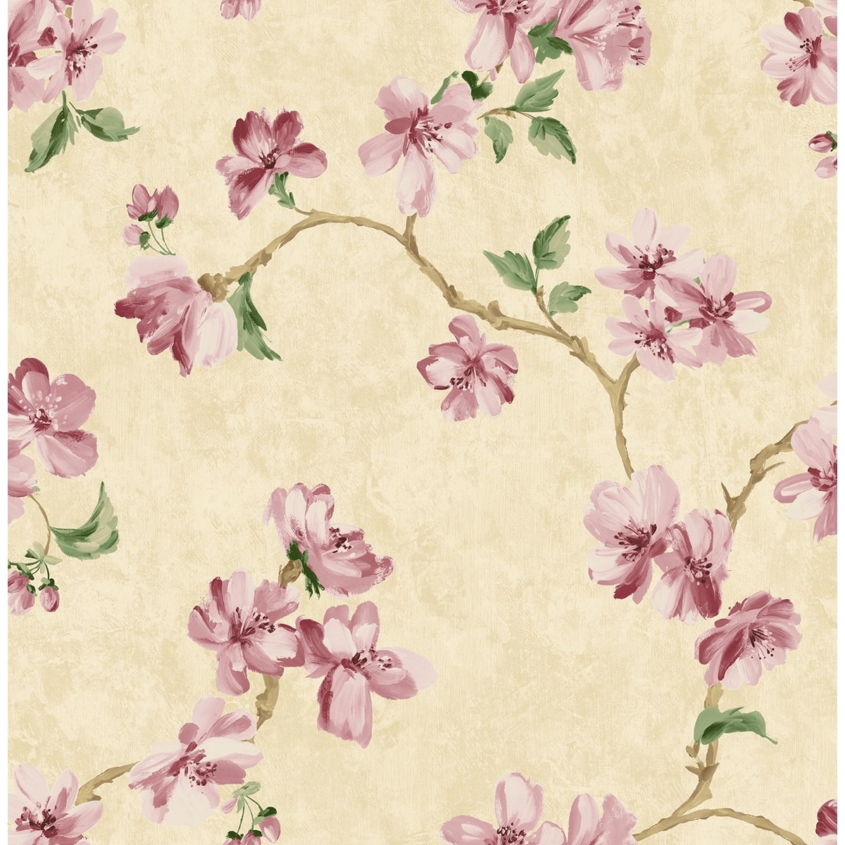 Option Parchment & Magenta