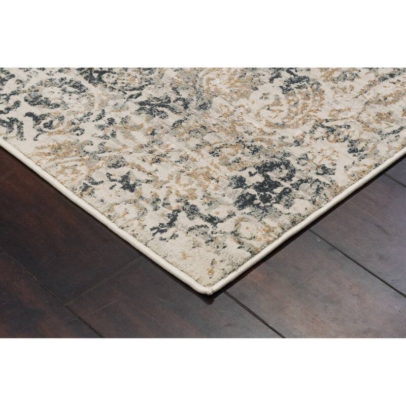 Dynamic Rugs Quartz Traditional Area Rug