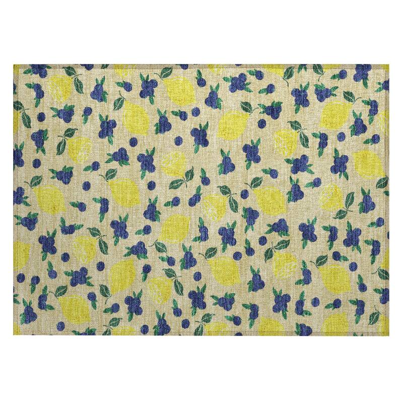 Machine Washable Indoor/ Outdoor Citrus Berry Chantille Rug