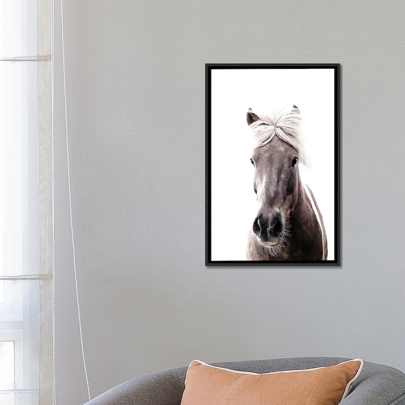 iCanvas "Iceland Horse Lucy I" by Monika Strigel Framed