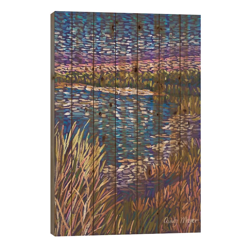Southwest Wetlands Print On Wood by Candy Mayer - Multi-Color - 26x18x1.5