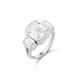 Option Silver