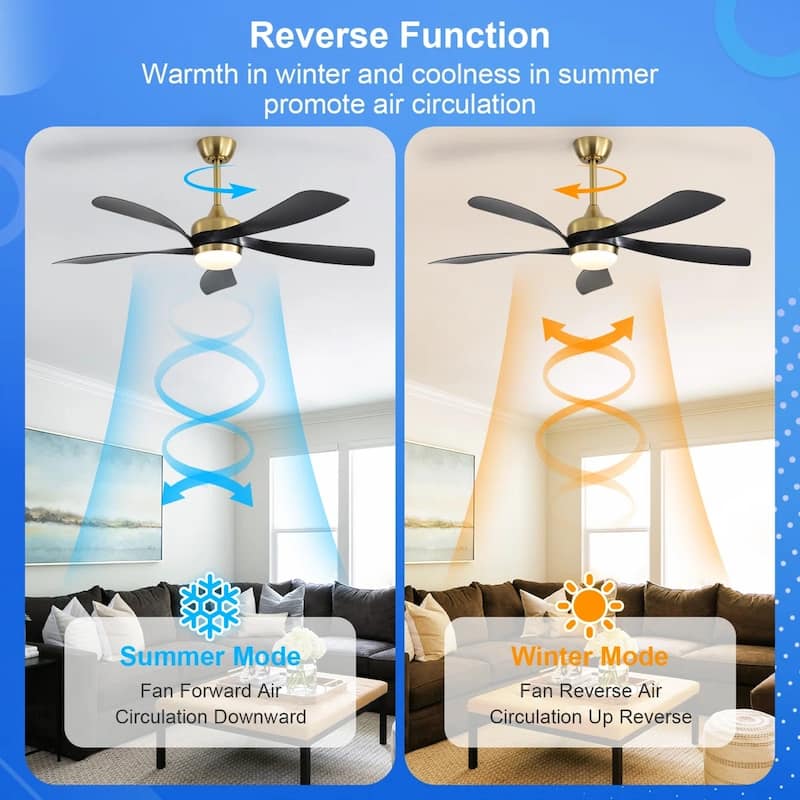52" Downrod Ceiling Fan with Light and Remote,Reversible DC Motor,for Living Room Bedroom Patio - 52 Inches