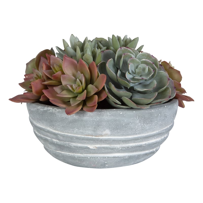 Uttermost Peoria Succulent Accent - 10"W x 7"H x 10"D