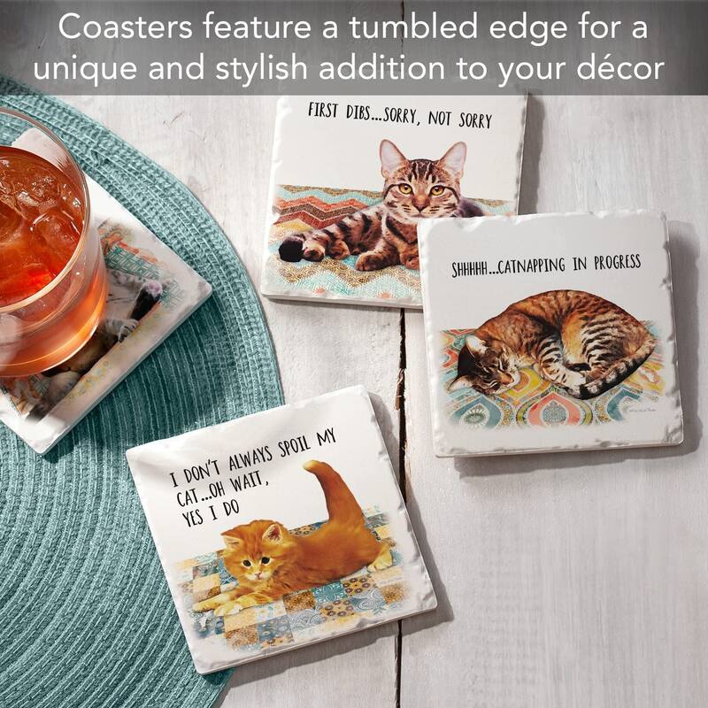 CounterArt Cat Nappy Multi-Image Absorbent Stone Coasters with Protective Cork Backing Set of 4 Made in The USA