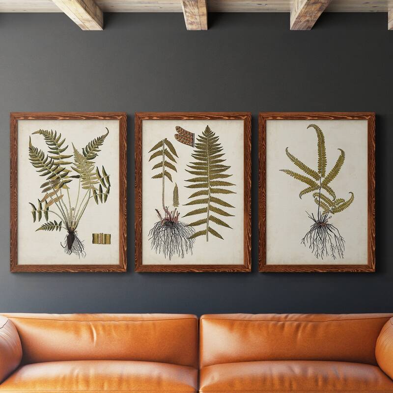 Fern Botanical IV-Premium Framed Canvas - Ready to Hang - Multi-Color ...
